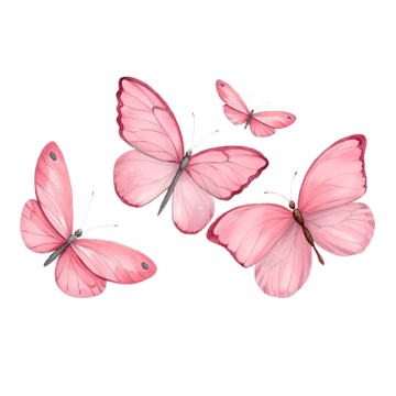 Decoración Mariposas